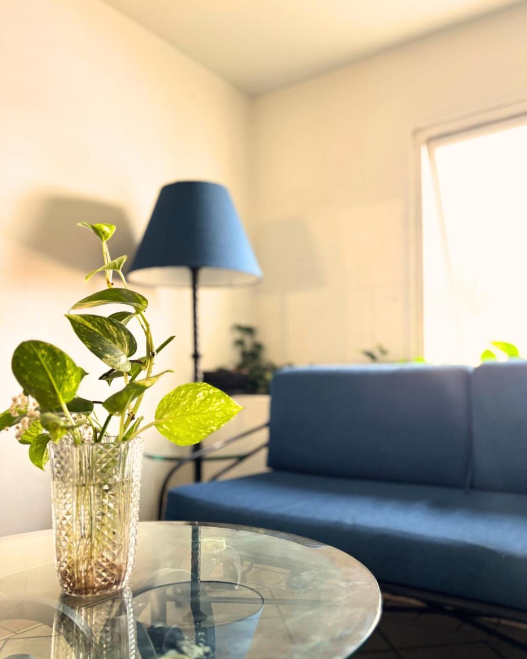 גואדלחארה Hotel Arboledas Industrial מראה חיצוני תמונה